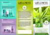 Wellness Premium Mini Zestaw Zielony Szampon Odżywka Maska 3x 50ml
